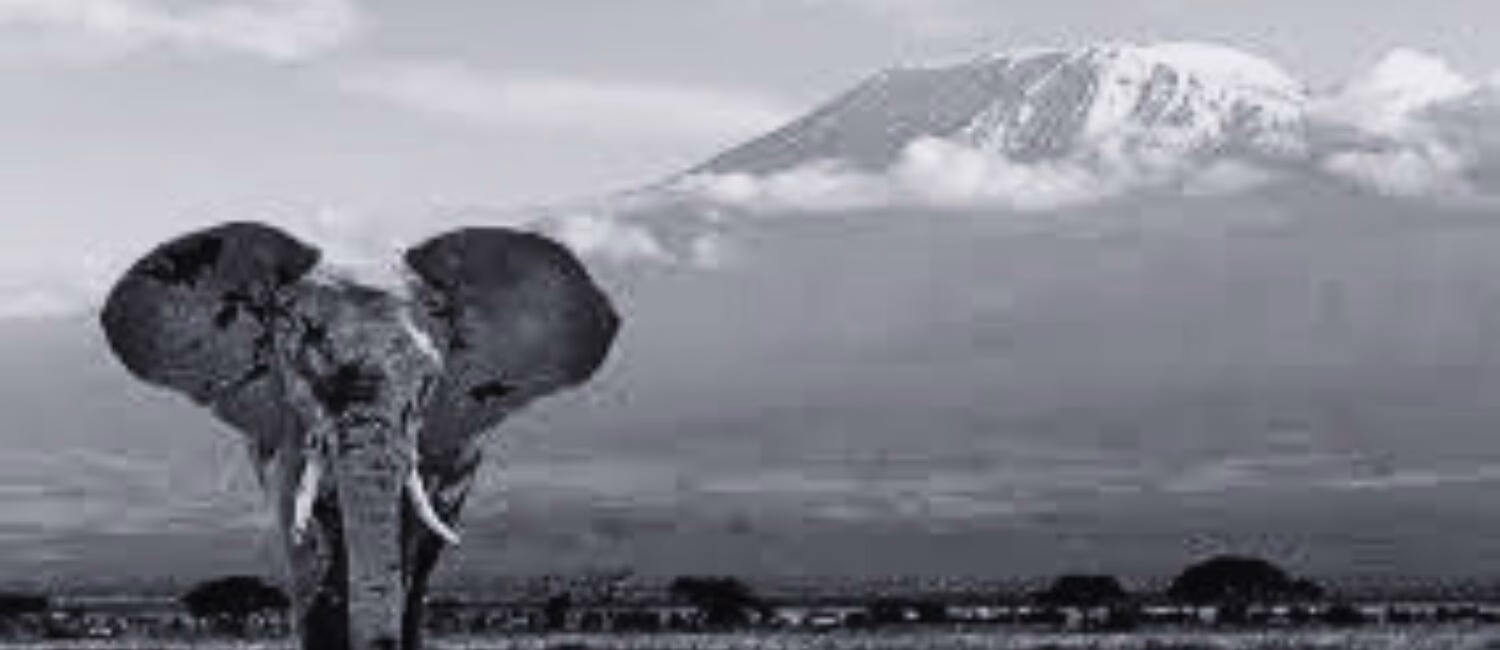 https://www.maliasili.go.tz/