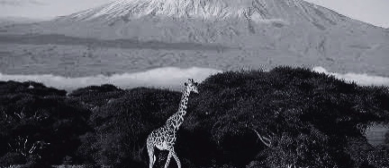 ai-tourism-tanzania-strategic-communication