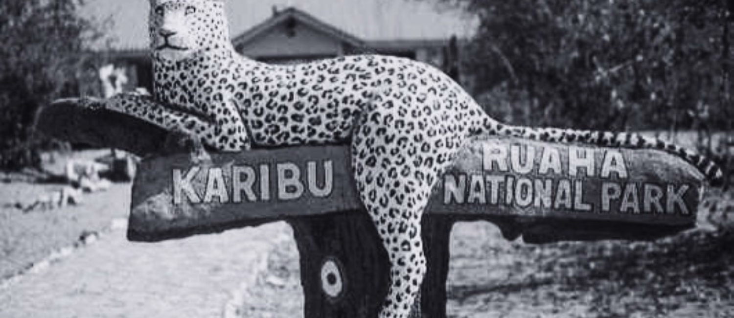 ai-tourism-tanzania-strategic-communication