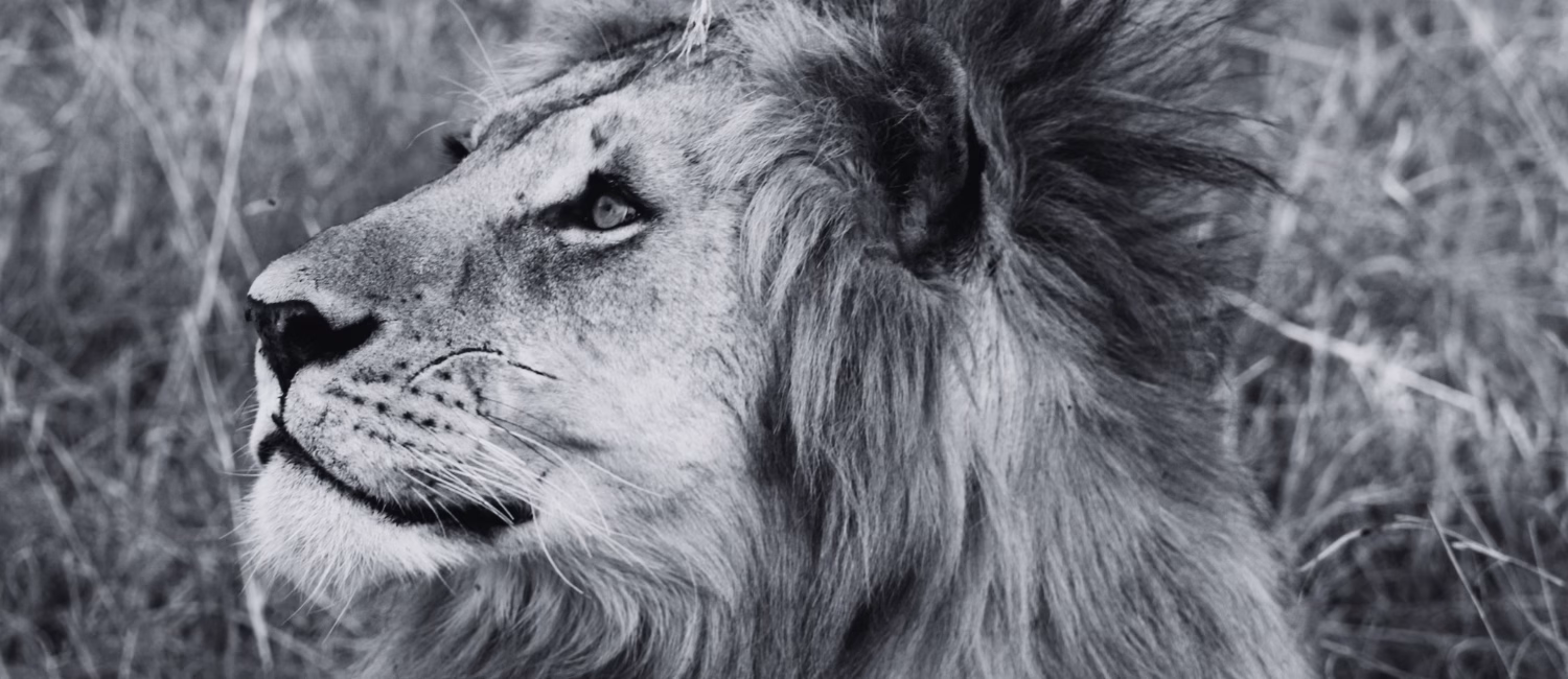 tanzania-tourism-strategic-communication
